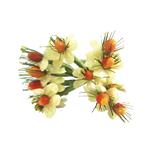 POMO FLOR