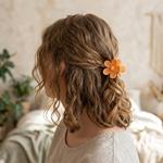 Pinzas para el Pelo Diseño Pétalo Nature - Pack Surtido