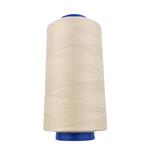 Cono poliester PES FT 70/2 140 grs