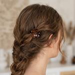 Pinzas para el Pelo Diseño Pétalo Carey - Pack Surtido