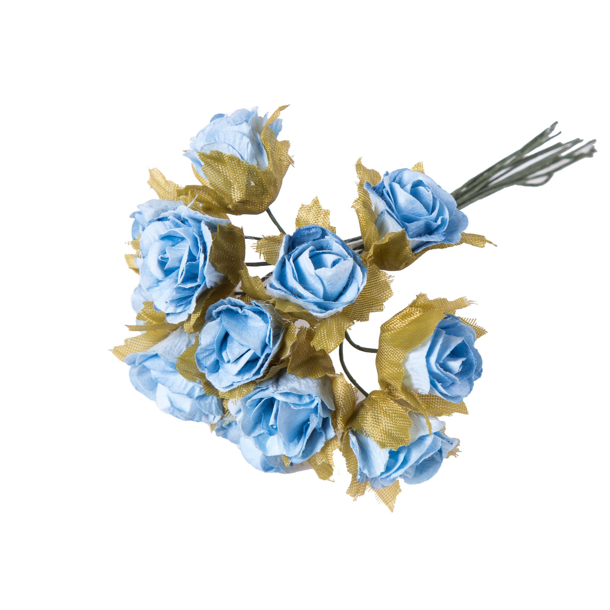 FLORES