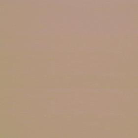 Tela algodón lisa color piel C03 - B-FM - 1 metro   | ALGPEC03