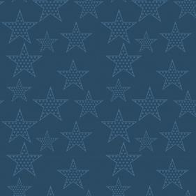 Tela algodón popelín estampado - TL | TX3050-0284003